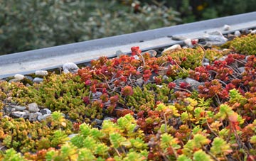 the cost of Frogshall green roof installation