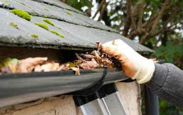 gutter cleaning Frogshall, Norfolk