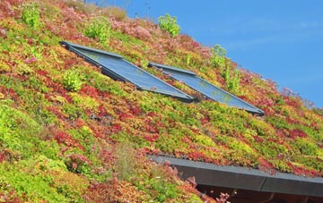 Frogshall living roof systems
